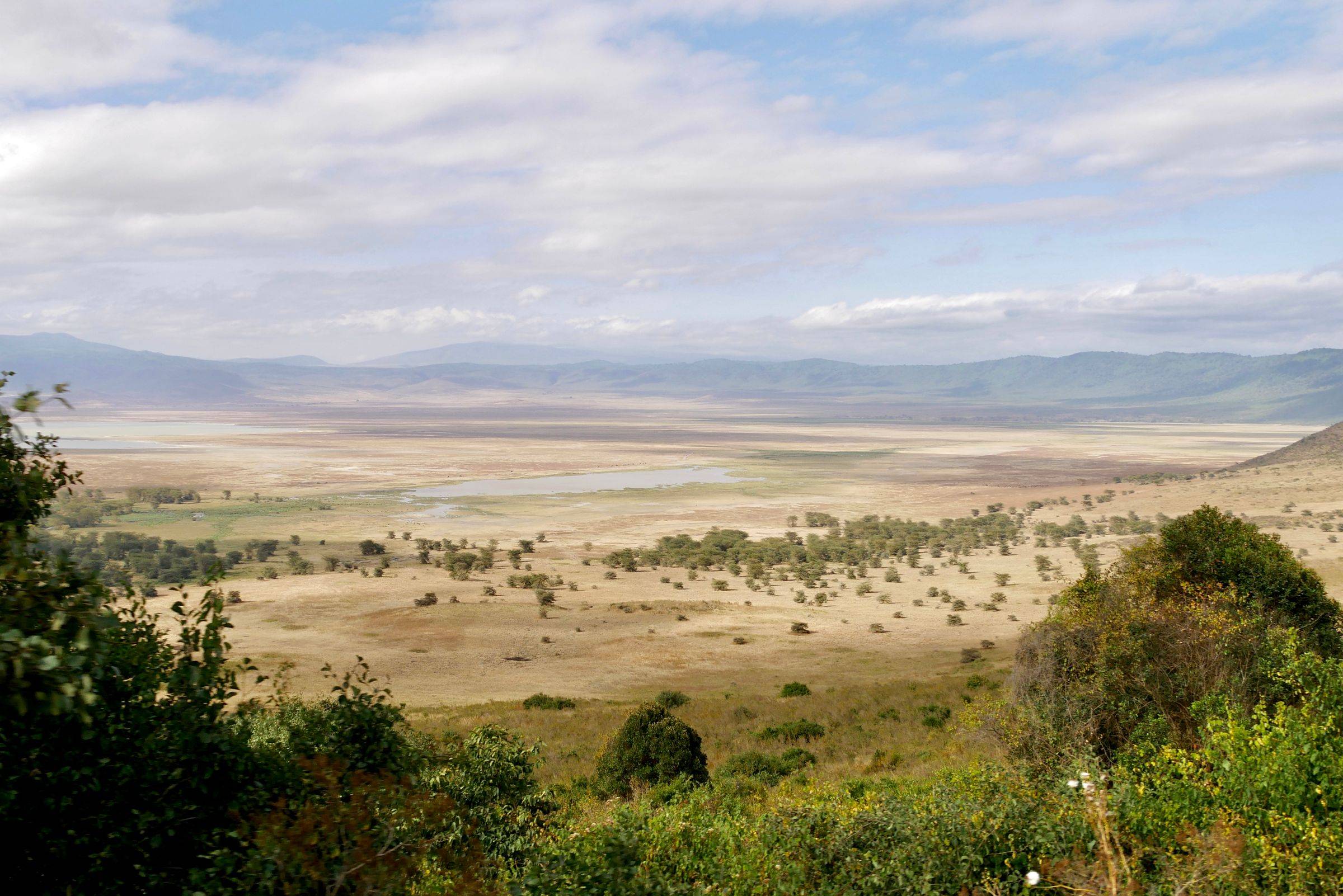 View across the Ngorongoro Crater from the rim, Tanzania