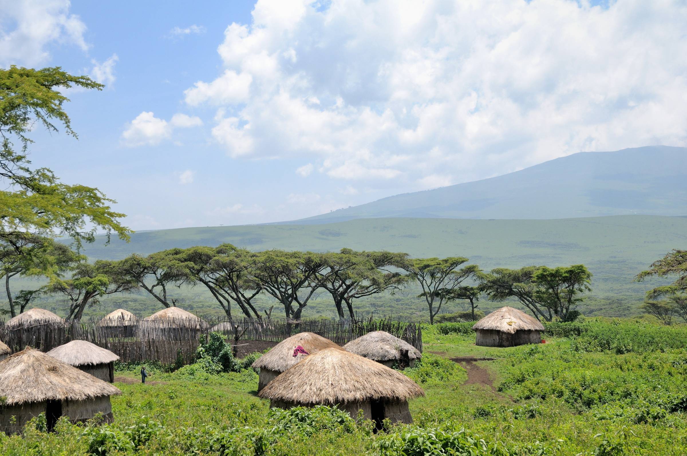 A Maasai boma with round houses in the Ngorongoro Conservation Area, Tanzania